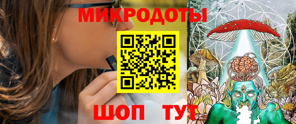 Псилоцибиновые грибы Psilocybe Дивногорск