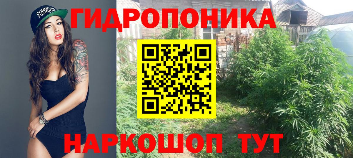 Шишки марихуана гибрид Дивногорск